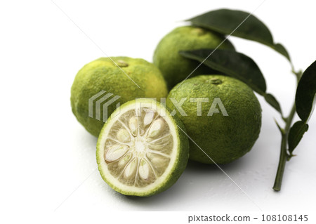 Yuzu that still has its blue color Blue Yuzu Yuzu (white background) Yuzu that still has its blue color Blue Yuzu Yuzu (white background) 108108145