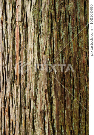 Tree bark texture/natural wood background 108108490