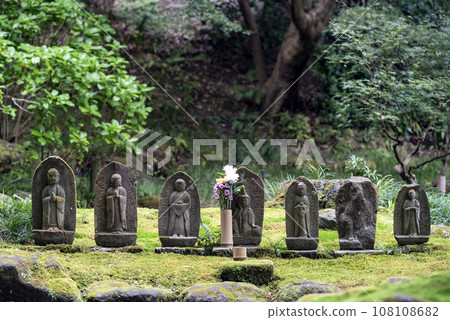 Kamakura October Hokokuji Temple 4 108108682