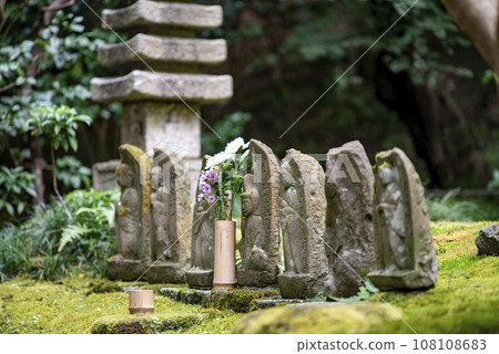Kamakura October Hokokuji Temple 5 108108683