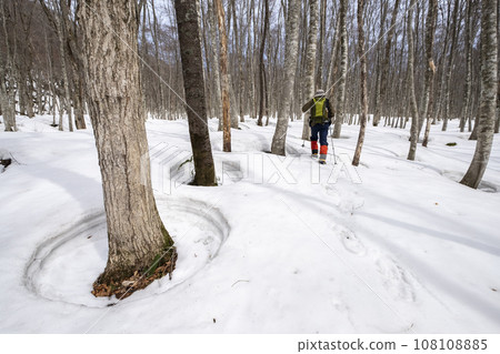 Image of snowshoe trekking Mt. Okudai Image of snowshoe trekking Mt. Okudai 108108885
