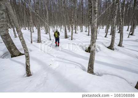 Image of snowshoe trekking Mt. Okudai Image of snowshoe trekking Mt. Okudai 108108886