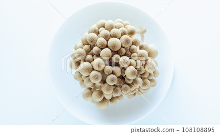 Shimeji Mushroom Autumn Ingredients White Background Plate Margin Autumn Taste Center Shimeji Mushroom Autumn Ingredients White Background Plate Margin Autumn Taste Center 108108895