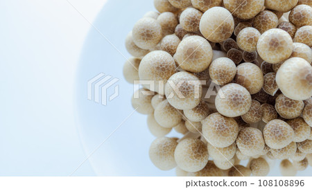 Shimeji Mushroom Autumn Ingredients White Background Plate Left Aki Shimeji Mushroom Autumn Ingredients White Background Plate Left Aki 108108896