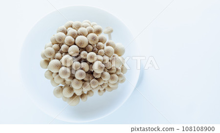 Shimeji Mushroom Autumn Ingredients White Background Plate Simple Shimeji Mushroom Autumn Ingredients White Background Plate Simple 108108900