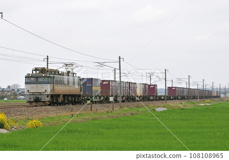 北陸幹線蘆原溫泉丸岡 JR Freight EF81-503（富山） 108108965