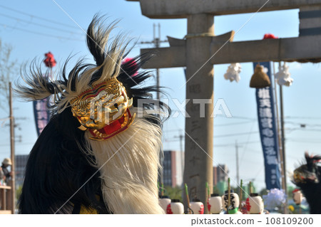 Banshu Autumn Festival, Oshio Tenmangu Shrine, a lively lion dance 108109200