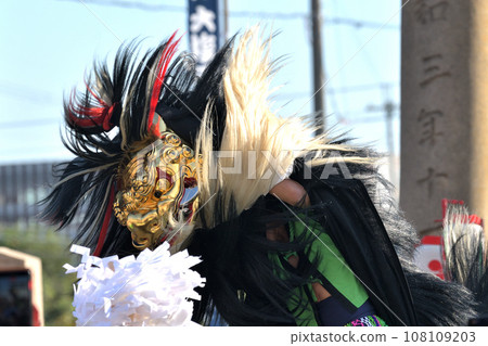 Banshu Autumn Festival, Oshio Tenmangu Shrine, a lively lion dance 108109203