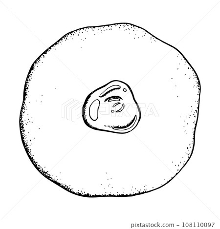 Vector Hanukkah donut with jam black and white illustration, top view. Hand drawn traditional Jewish holiday sufganiyah 108110097