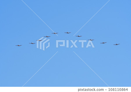 T-7初級教練機編隊飛行 T-7初級教練機編隊飛行 108110864