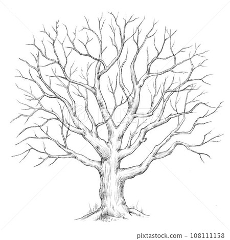 Beautiful stock illustration with hand drawn forest tree. 108111158