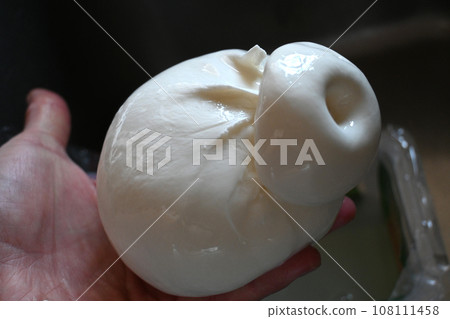 burrata - fresh cheese from Italy 108111458