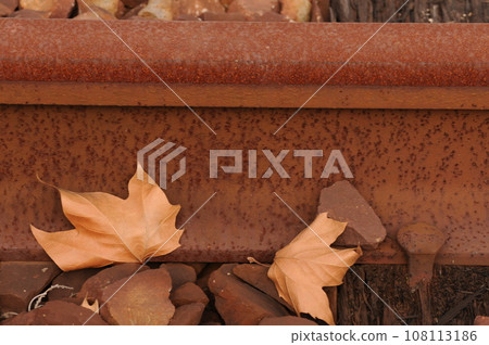 Abandoned railroad tracks and fallen leaves 108113186