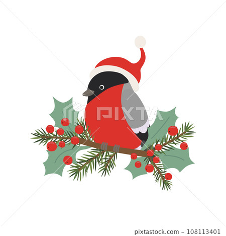 Illustration bullfinch in a Santa Claus hat on branch with fir branches and holly jolly. Illustration bullfinch in a Santa Claus hat on branch with fir branches and holly jolly. 108113401