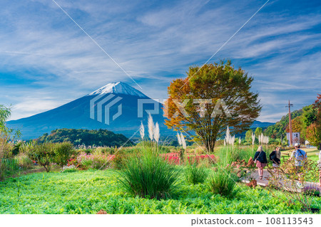 (Yamanashi Prefecture) Tourists and Mt. Fuji strolling through Kawaguchiko Oishi Park in autumn (Yamanashi Prefecture) Tourists and Mt. Fuji strolling through Kawaguchiko Oishi Park in autumn 108113543