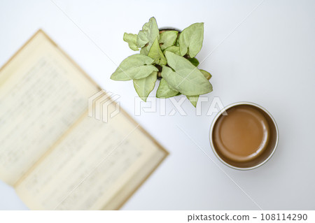 Overhead photography of novels and houseplants 108114290