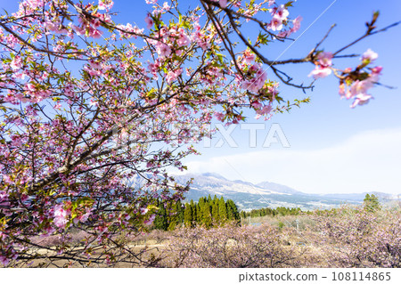 Bright spring sky and Mt. Aso (copy space material) (Minamiaso Sakura Park) Minamiaso Bright spring sky and Mt. Aso (copy space material) (Minamiaso Sakura Park) Minamiaso 108114865