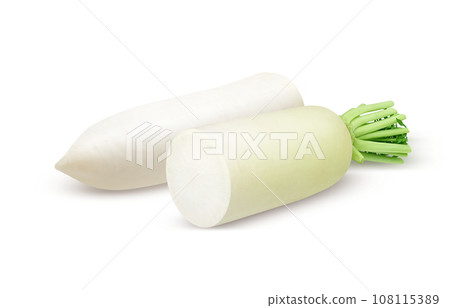 蘿蔔插畫寫實 蘿蔔插畫寫實 108115389