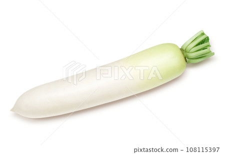 蘿蔔插畫寫實 蘿蔔插畫寫實 108115397