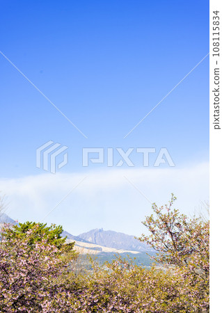 Bright spring sky and Mt. Aso (copy space material) (Minamiaso Sakura Park) Minamiaso Bright spring sky and Mt. Aso (copy space material) (Minamiaso Sakura Park) Minamiaso 108115834