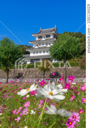 Asahi Castle and cosmos in full bloom <Owariasahi City, Aichi Prefecture> Asahi Castle and cosmos in full bloom <Owariasahi City, Aichi Prefecture> 108116029