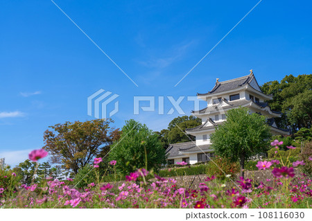 Asahi Castle and cosmos in full bloom <Owariasahi City, Aichi Prefecture> 108116030