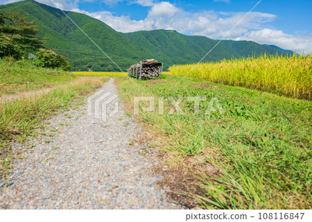 Gravel road and rice fields [Lake Kizaki] 108116847