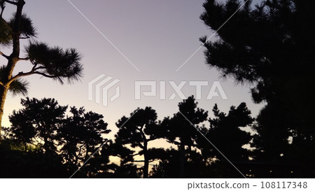 日落的天空從大自然下面 108117348