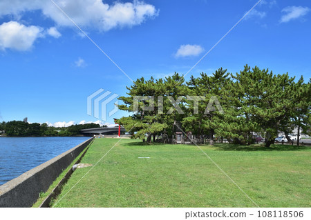 Kisarazu/Mizen pine and Yanagawa Kisarazu/Mizen pine and Yanagawa 108118506