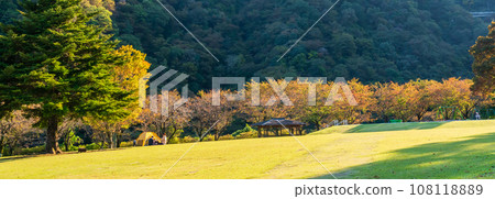 神奈川縣相川公園的秋景 108118889