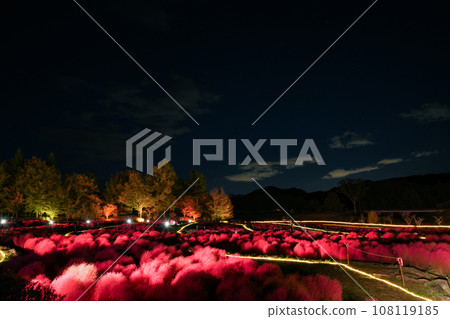 KOKIA 108119185