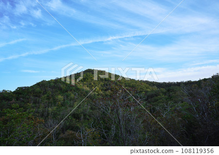 Ippon Matsuyama 108119356
