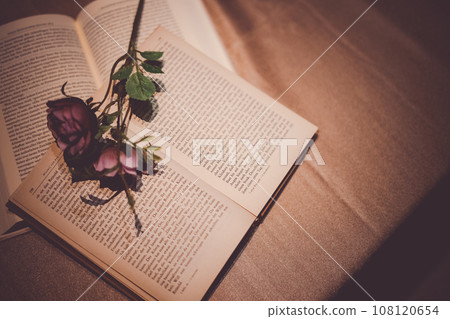 書桌上的舊書 書桌上的舊書 108120654