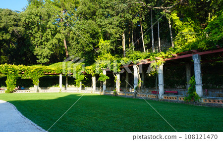 Miramare Castle Garden on a sunny day at Trieste, Italy 108121470