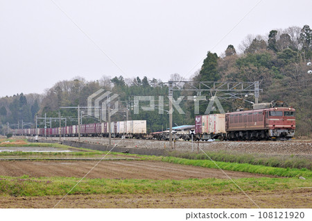 北陸幹線細木蘆原溫泉 JR Freight EF81-36（富山） 108121920