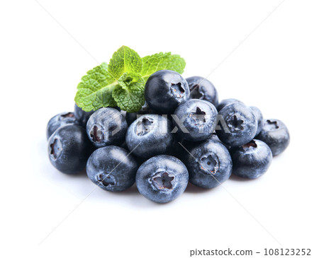 Blueberries with mint on white backgrounds Blueberries with mint on white backgrounds 108123252
