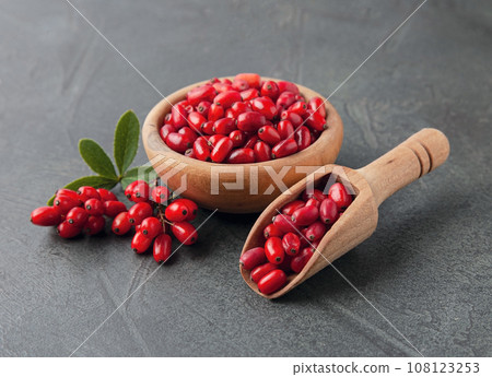 Barberry on black backgrounds Barberry on black backgrounds 108123253