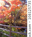 Autumn scenery of Oku-Nikko 108125735