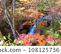 Autumn scenery of Oku-Nikko 108125736