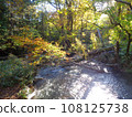 Ogawa's landscape 108125738