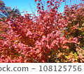 Fall landscape 108125756