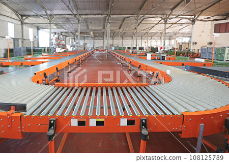 Conveyor Loop Sorting System 108125789