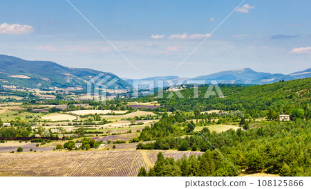 Provence landscape with lavender fields, France. 108125866