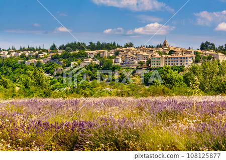 Sault village in Provence France 108125877