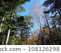 [Gunma Prefecture] Mountain scenery 108126298