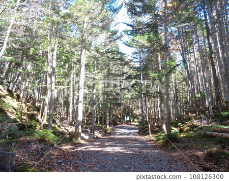 [Gunma Prefecture] Mountain scenery 108126300