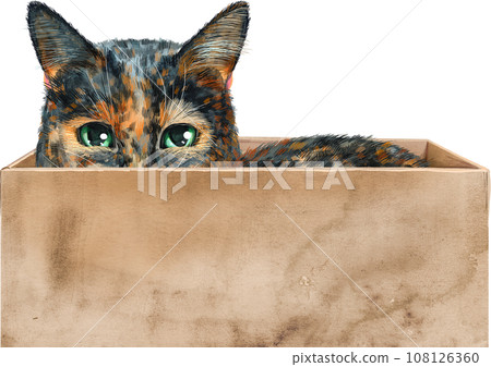 Portrait of a funny cat looking out of the box. 108126360