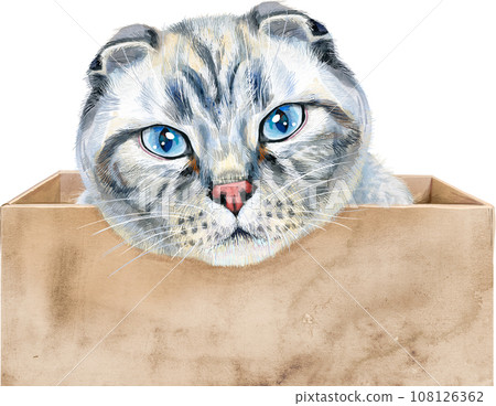 Portrait of a funny cat looking out of the box. 108126362