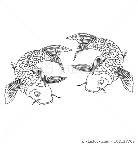Drawn contour catfish fish. Sketch, icon, logo, vector 108127702