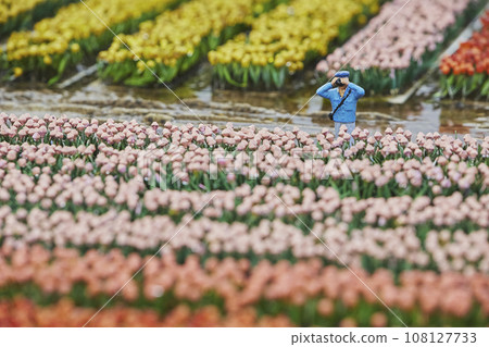 A toy man takes a photo of tulip field in Madurodam park, Netherlands A toy man takes a photo of tulip field in Madurodam park, Netherlands 108127733